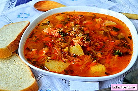 Súp Kharcho - công thức nấu ăn tốt nhất. Cách nấu súp kharcho chính xác và ngon.