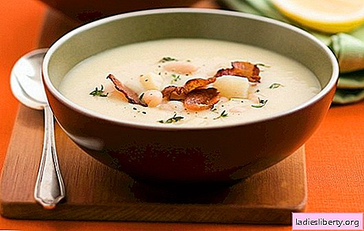 흰 콩 수프-좋은 아는 사람! 토마토, 고기, 치즈, 훈제, 버섯 : 다른 흰 콩 수프 요리법