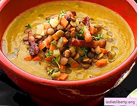 Sopa de lentilha - as melhores receitas. Como preparar uma deliciosa e saborosa sopa de lentilhas.