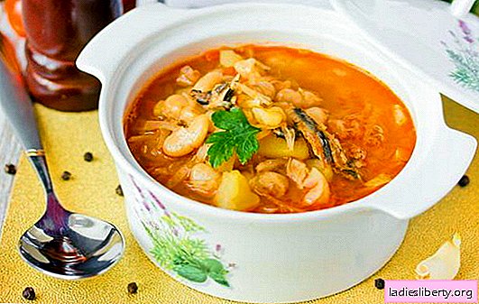 Sprotten-Suppe in Tomatensauce ist eine kostengünstige Option für ein köstliches Mittagessen. Bewährte Rezepte für Sprottenbrühe in Tomatensauce