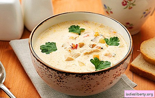Sopa de Pollock - um prato com excelente sabor! Cozinhar a sopa de peixe pollock direita com legumes, ovos, cereais, queijo, leite