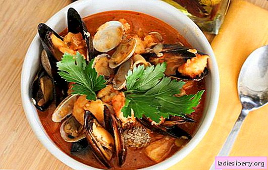 Juha z morskimi sadeži: školjke, kozice, lignje, hobotnica. Recepti za morsko hrano juho za vsak okus