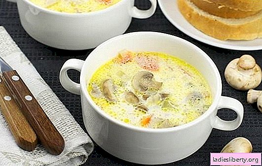 Creamy champignon soup: classic and original. Light cream mushroom soup recipes for business and home dinner