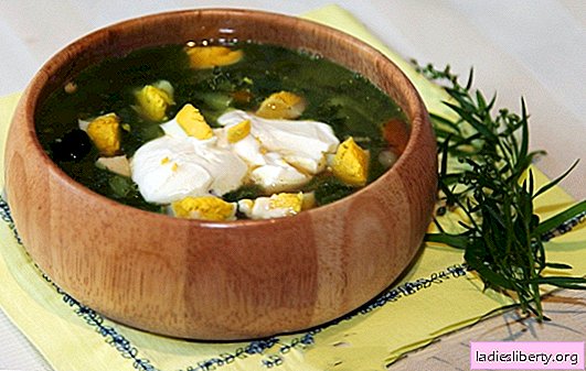Sorrel soup on chicken stock - spring-summer menu. Sorrel soup on chicken stock - quick first-course recipes with healthy rationalism