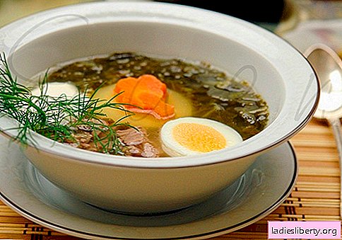 Soupe à l'oseille - recettes éprouvées. Comment faire cuire et soupe d'oseille.