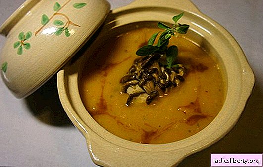 Sopa de champiñones ostras: las mejores recetas del autor. Cocinar sopas de hongos ostras: con fideos, queso, huevos, albóndigas, corazones, cereales, lentejas