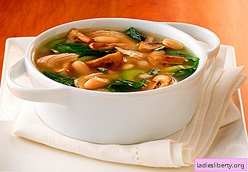 Soupe aux champignons - les meilleures recettes. Comment bien cuire la soupe dans un bouillon de champignons.