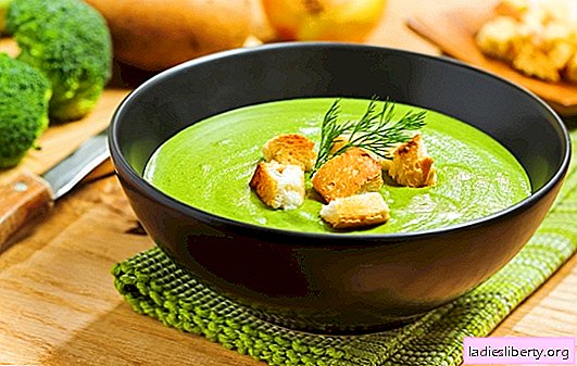 Soupe de purée de brocoli - pour la santé, l'esprit et une belle silhouette. Recettes de soupes de purée de brocolis à la crème, fromage, poulet, champignons