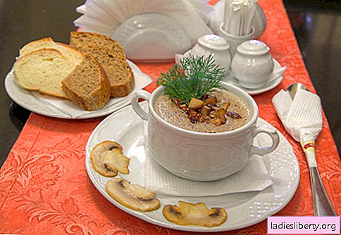 Sopppuré suppe - velprøvde oppskrifter. Hvordan ordentlig og deilig koke en suppe med champignoner.
