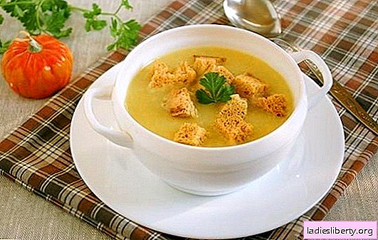Puree soup with croutons - a universal idea for lunch! Mashed potato soup with croutons and vegetables, mushrooms, chicken