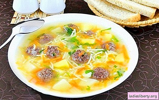 Sopa con albóndigas y fideos: ¡hacer un almuerzo delicioso es fácil! Las mejores recetas de albóndigas y sopa de fideos