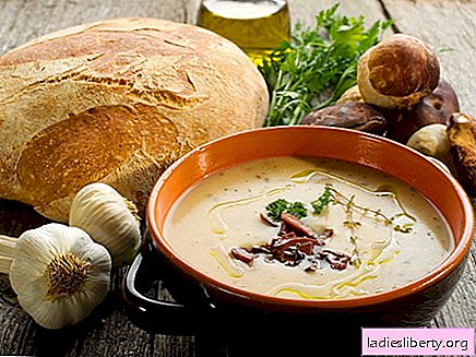 Mushroom soup - the best recipes. How to cook mushroom soup correctly and tasty.