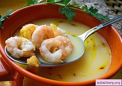 Sopa de camarão - as melhores receitas. Como preparar a sopa de camarão de forma adequada e saborosa.