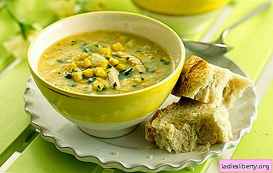 Soup with corn is a favorite ingredient in an unusual way. Interesting canned corn soups