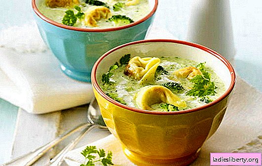 حساء مع الزلابية - وصفات غير عادية لطبق لذيذ. طبخ الحساء اللذيذ مع الزلابية