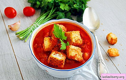 Sopa de pasta de tomate - hola Italia! 8 recetas de deliciosas sopas con pasta de tomate: con arroz, fideos, verduras, albóndigas