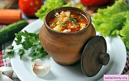 Pot pot au four - le résultat est surprenant! Recettes de soupes en pots au four: légumes, viande, poulet, champignons