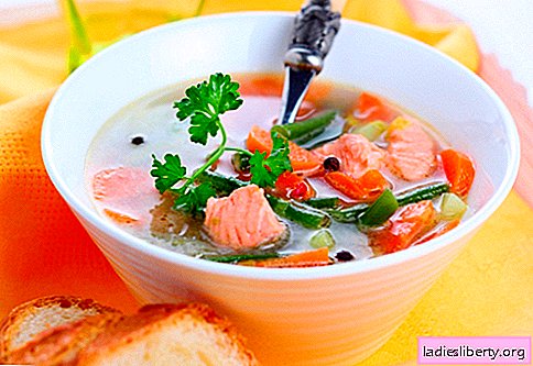 حساء سمك السلمون المرقط - وصفات مجربة. كيفية بشكل صحيح ولذيذ حساء سمك السلمون المرقط حساء.