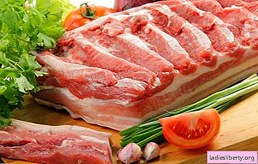 Svinekjøtt mage - fet og dårlig? Nei, saftig og deilig! De beste tradisjonelle og originale oppskriftene på svinekjøtt