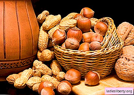Properties of nuts for beauty and health