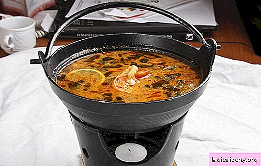 Sopa tailandesa - exótica em sua cozinha. Receitas de sopa tailandesa com carne, peixe, frango, frutos do mar, legumes e cogumelos