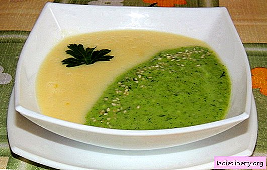 Such delicious and simple mashed soups. Try to make a delicious and simple soup puree - simple recipes, affordable products