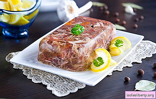 Tecnología de cocinar carne en gelatina en una multicocina. Una variedad de recetas de carne en gelatina en una olla de cocción lenta: carne de cerdo, pollo, pescado.