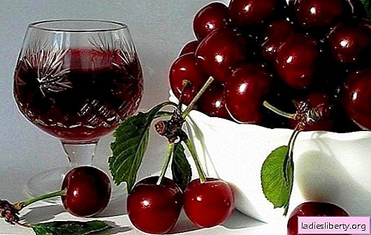 Tecnología del vino de cerezas en casa. Recetas de marcas populares: vino inusual hecho de cerezas en casa