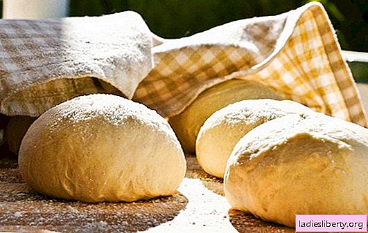 Dough for whites - patience, and everything will turn out! Different recipes for dough for whites: yeast, liquid, cold, steamed