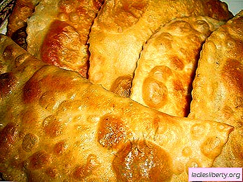 Dough for pasties - the best recipes. How to cook dough for chebureks correctly and tasty.