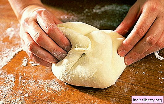 Pizzadej på vandet: Sådan koges og bages det mest enkle italienske fladbrød. Pizza Dej Opskrifter