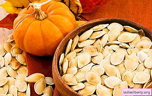 Pumpkin seeds: the benefits and harms of nutritious nucleoli. Are pumpkin seeds a drug for men?