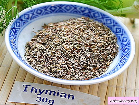 Thyme - description, properties, use in cooking. Thyme recipes.