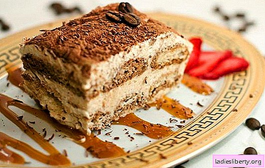 Tiramisu with mascarpone - boundless tenderness. Recipes of Italian dessert tiramisu with mascarpone and toppings