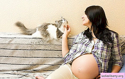 Toxoplasmosis in pregnancy: is treatment necessary? Methods for the diagnosis of toxoplasmosis during pregnancy, its danger
