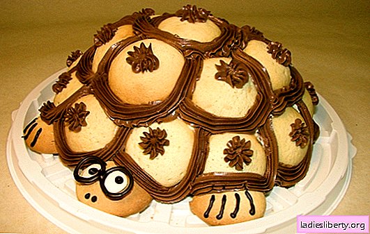 Pastel "Tortuga" en casa - ¡la misma ternura! Recetas de pastel de chocolate, esmeralda y tortuga clásica