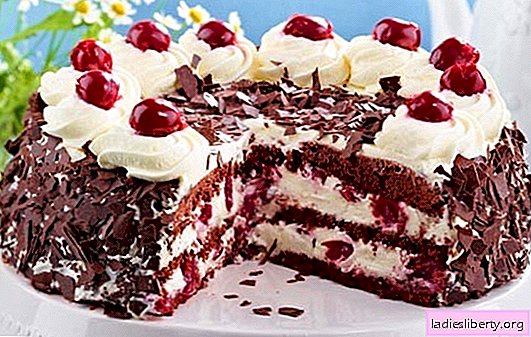 Cake "Black Forest" according to the classic recipes of German confectioners. Various Black Forest cake options with cheese, cream, cherry