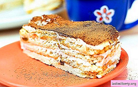 Un pastel de galleta y crema agria es un postre delicado para todas las ocasiones. Las mejores recetas de pastel de galleta y crema agria con varios aditivos