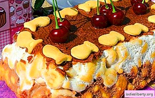 Cake from cookies "Fish" without baking - in a hurry. The best cake recipes from the Fish cookies: with cottage cheese, gelatin, condensed milk