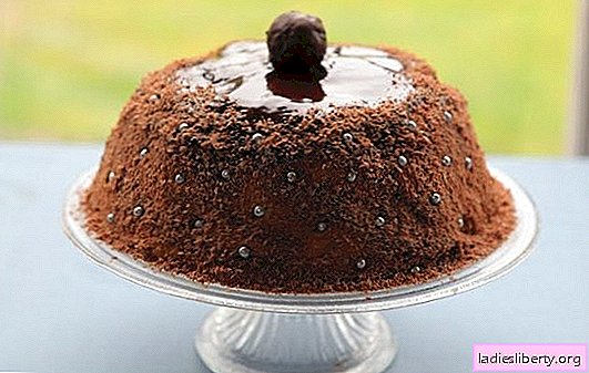 Peperkoekcake: klop het dessert zonder te bakken. Peperkoekcake Recept met Banaan, Sinaasappelen, Kiwi en Ander Fruit