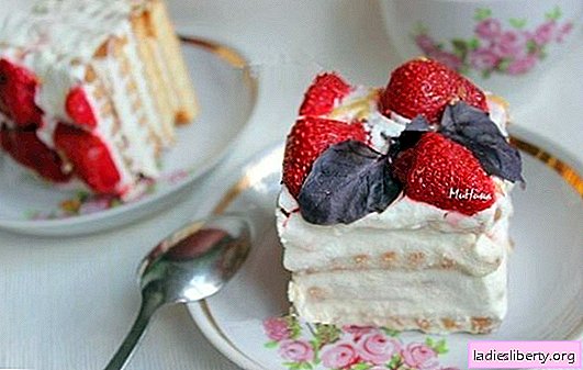 Cake from cottage cheese without baking - it can’t be easier; Cottage cheese cake recipes with cookies, chocolate and gelatin