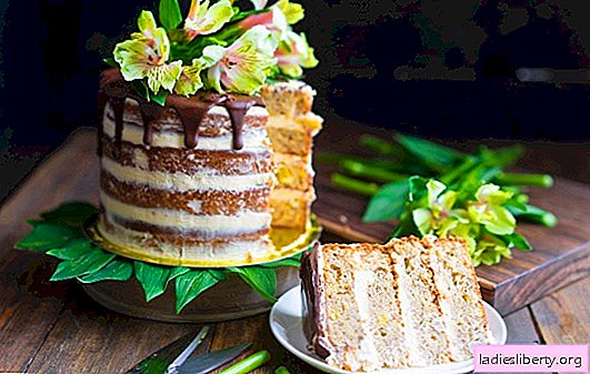 Hummingbird cake - assorted fruits and juicy biscuits. A selection of Hummingbird cakes with nuts, strawberries and chocolate