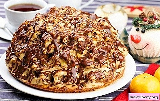 كعكة "مجعد بينشر" - مثيرة للاهتمام ولذيذ! وصفات الشوكولاته والجوز وكعك الفاكهة "مجعد بينشر"