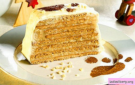 Cake "Bear in the North" - a seductive nutty dessert! Classic and advanced recipes for the Bear in the North Cake