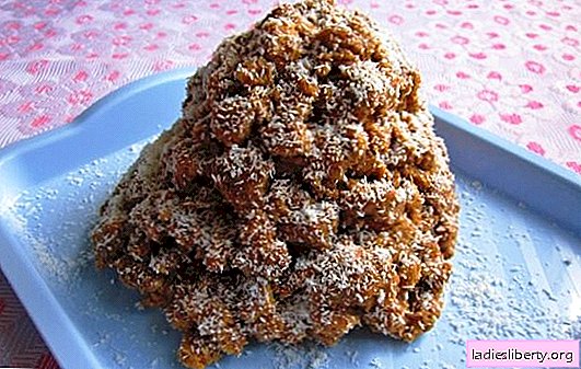 Cake "Anthill" from cookies - quickly and tasty. Recipes of anthill cake from cookies with nuts, cottage cheese and marmalade