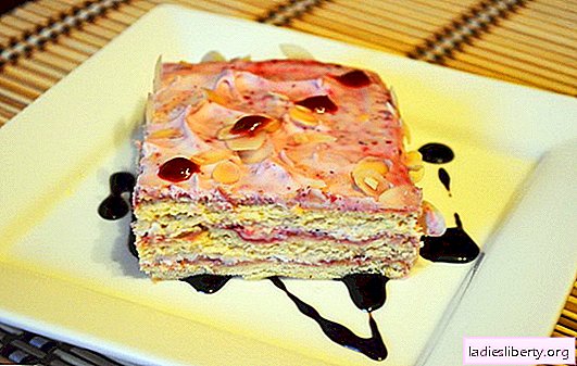 Whip Cake - Fantasy Steers! The best recipes for cakes in haste: from cottage cheese, cookies, gingerbread, prepared cakes and fruits