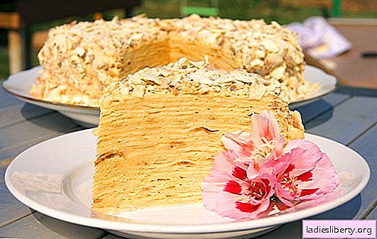 Napoleon cake at home - from a sweet childhood! Cake Recipes "Napoleon": with nuts, chocolate, caramel