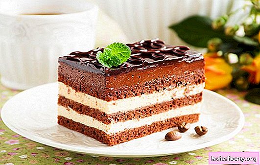 كعكة "الأوبرا" - الحلوى متناغم. وصفات مختلفة من كعك الأوبرا مع الكشمش والقهوة والمكسرات والكريمة السويسرية