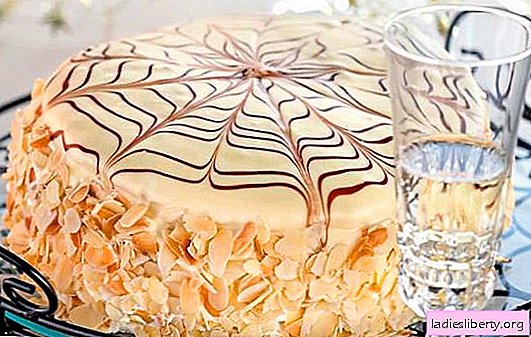 Kake "Edderkopp linje" - den originale designen av hjemmelaget dessert. Komplekse og enkle oppskrifter på Cobweb-kaken