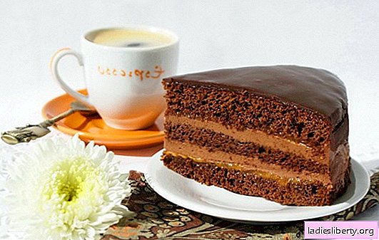 ケーキ「プラハ」-あなたの好きな御treat走のための古典的なレシピ。クラシックレシピに従ってプラハのケーキをすばやくおいしい方法で作る方法